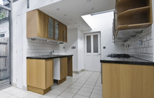 Roydon Hamlet kitchen extension leads